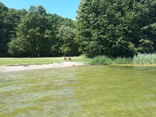 Liegewiese am Grimnitzsee, klares Wasser