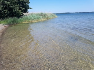 Grimnitzsee