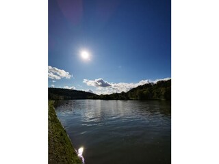 Ferienhaus Marktheidenfeld Umgebung 31