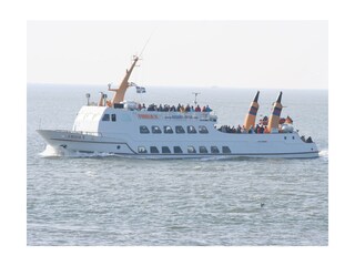 Auf dem Weg zu den Seehundsbänken