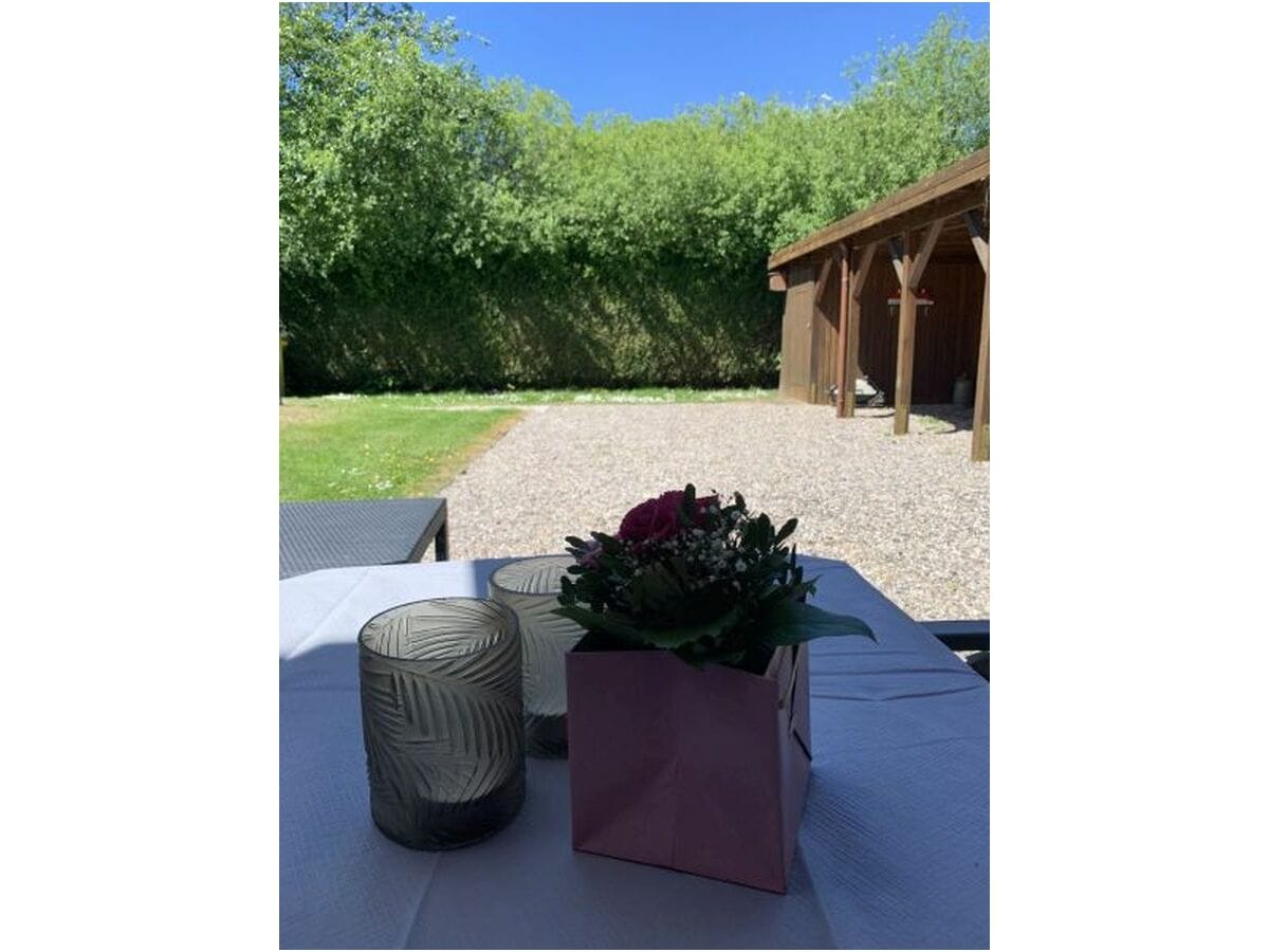 Blick von der Terrase in den Wald und Garten