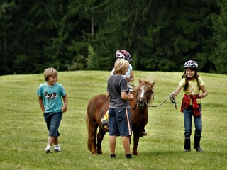 Vakantieappartement Riezlern Omgeving 40