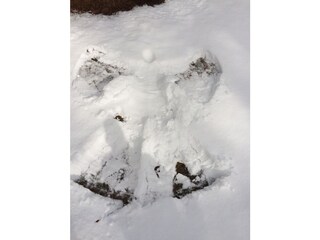 Appartamento per vacanze Seefeld in Tirol Ambiente 21