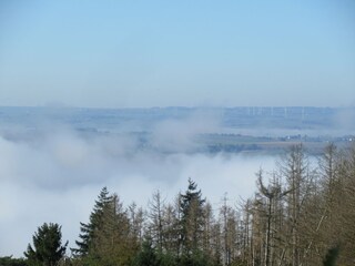 Ferienhaus Welling Umgebung 18