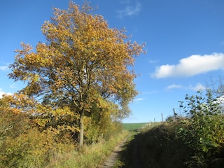 Ferienhaus Welling Umgebung 25