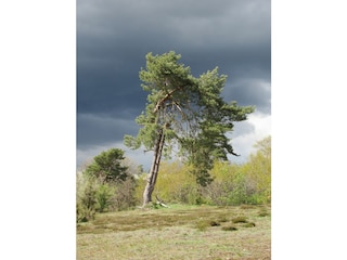 Ferienhaus Welling Umgebung 22