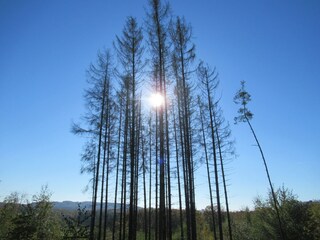 Ferienhaus Welling Umgebung 19