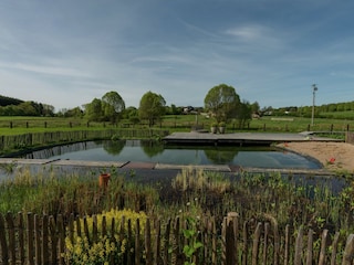 Ferienhaus Paliseul Außenaufnahme 7