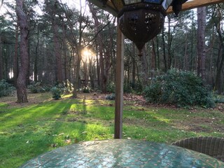 Bungalow Oud-Turnhout Buitenaudio-opname 11