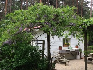 Bungaló Oud-Turnhout Grabación al aire libre 4