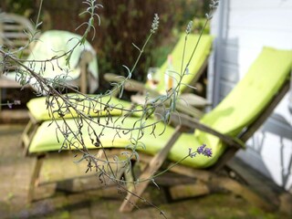 Bungaló Oud-Turnhout Grabación al aire libre 10