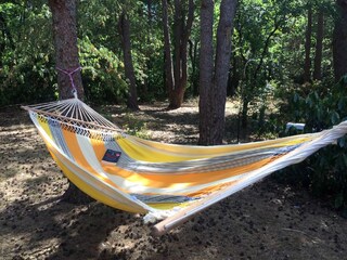 Bungaló Oud-Turnhout Grabación al aire libre 8