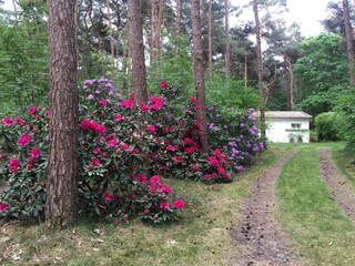 Bungalow Oud-Turnhout Buitenaudio-opname 13