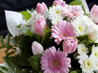 Bungalow Oud-Turnhout  38