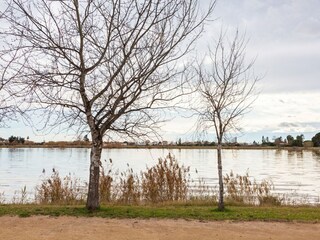 Casa vacanze Eucaliptus-Playa Ambiente 30