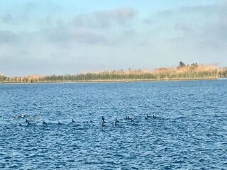 Casa vacanze Eucaliptus-Playa Ambiente 22