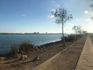 Casa de vacaciones Eucaliptus-Playa Entorno 23