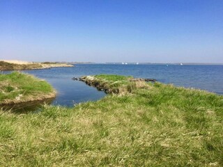 Appartement Kamperland Omgeving 50