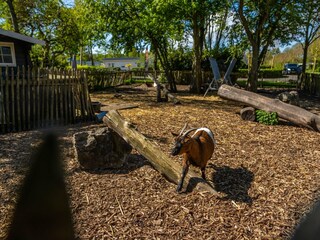 Ferienpark Driehuis Umgebung 8