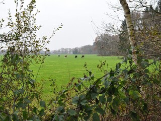 Appartement Veenhuizen Environnement 27