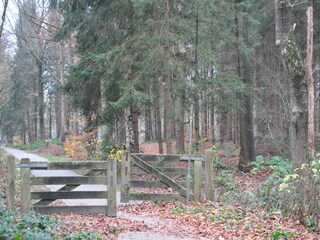 Appartamento Veenhuizen Ambiente 28