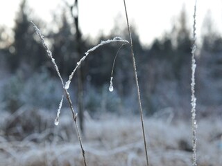 Apartment Veenhuizen Umgebung 31