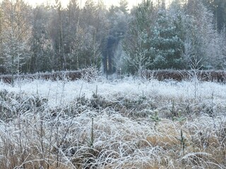 Appartement Veenhuizen Environnement 33