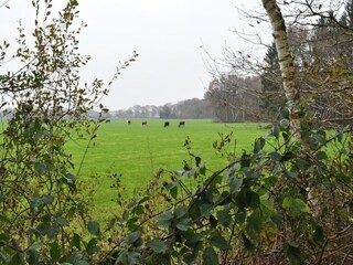 Apartment Veenhuizen Umgebung 28