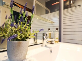 Apartamento Veenhuizen Características 22