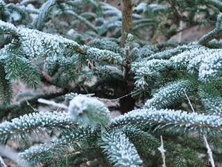 Appartamento Veenhuizen Ambiente 34