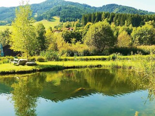 Ferienpark Gaal Umgebung 20