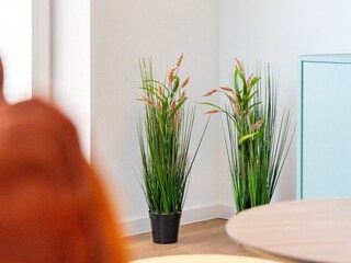 Appartamento Greetsiel Caratteristiche 21