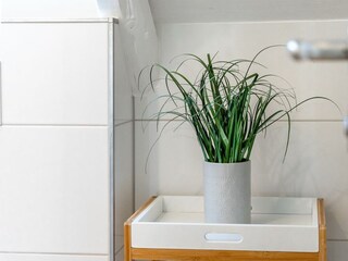 Appartamento per vacanze Greetsiel Registrazione all'aperto 19