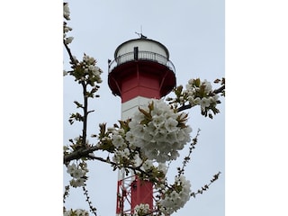 Dem Grünendeicher Leuchtturm ganz nah