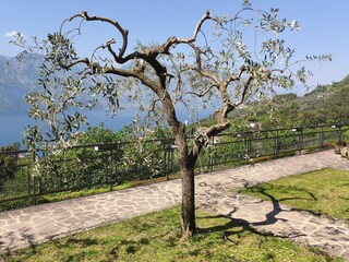Holiday apartment Malcesine Environment 6