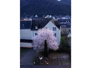 Frontansicht