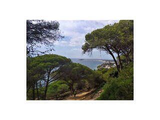 Casa per le vacanze Chiclana de la Frontera Ambiente 20