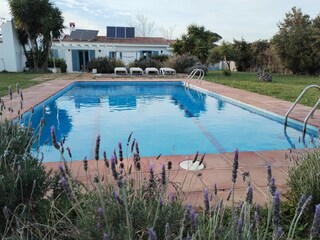 Casa per le vacanze Chiclana de la Frontera Registrazione all'aperto 5