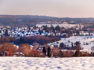 Appartamento per vacanze Höhr-Grenzhausen Ambiente 38