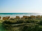 Blick über die Düne aufs Meer