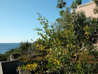 Appartamento per vacanze Blato Registrazione all'aperto 5