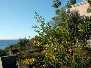 ruhige Lage, Meerblick