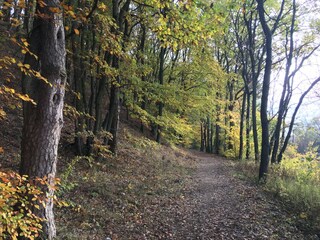 Appartamento per vacanze Schnakenbek Ambiente 18