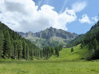 Chalet Castello Tesino Environnement 34