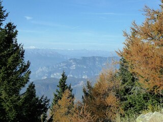 Chalet Castello Tesino Omgeving 38