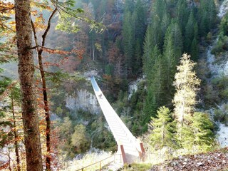 Chalet Castello Tesino Environnement 40