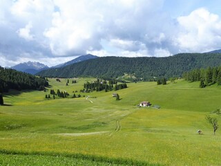 Chalet Castello Tesino Environnement 33