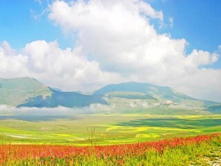 Villa Amandola Environnement 36