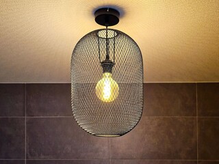 Ferienhaus Biddinghuizen  40