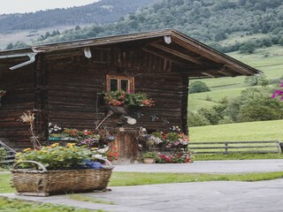 Casa per le vacanze Fusch  44